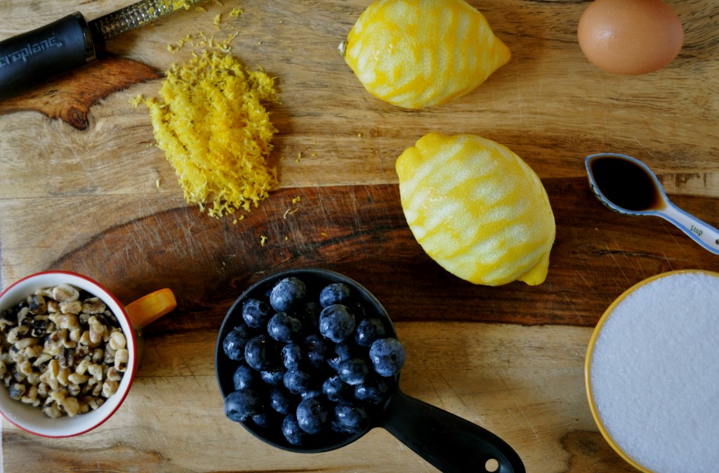 Lemon Blueberry Walnut Bread | Once Upon a Recipe