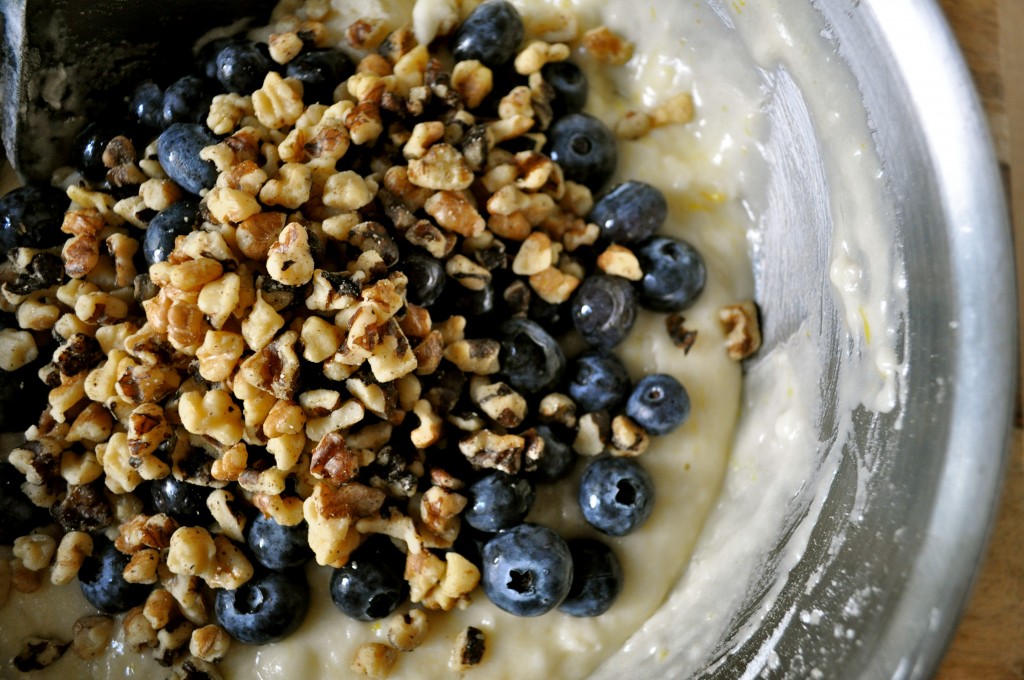 Lemon Blueberry Walnut Bread | Once Upon a Recipe