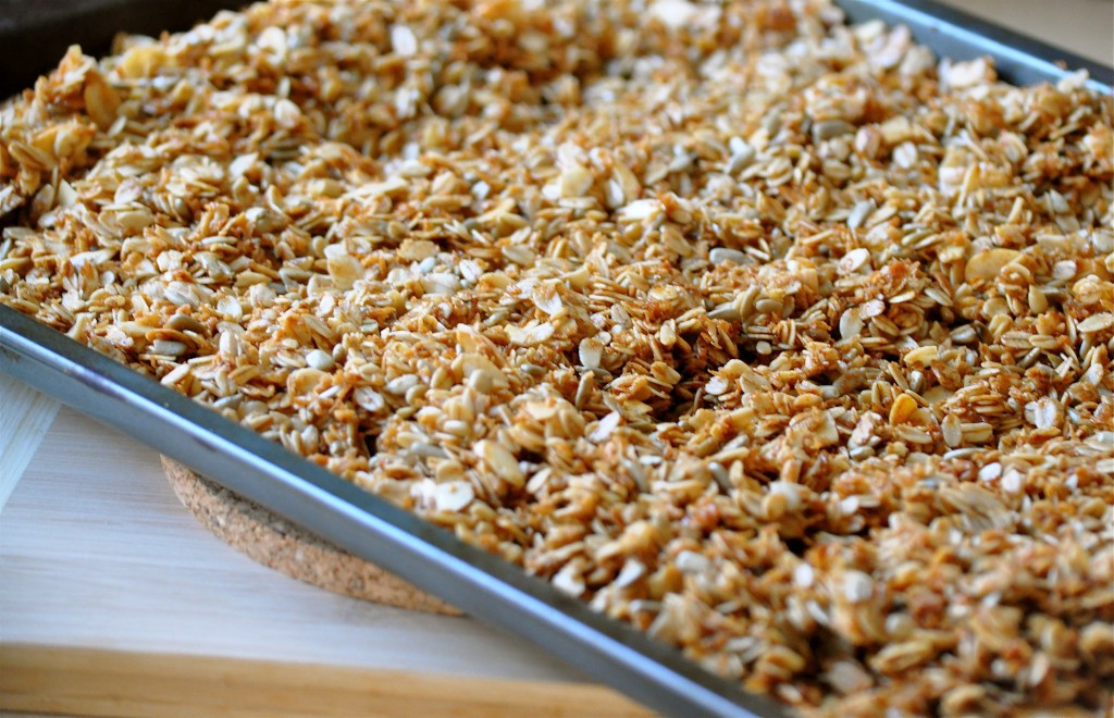 Coconut Oil Granola | Once Upon a Recipe