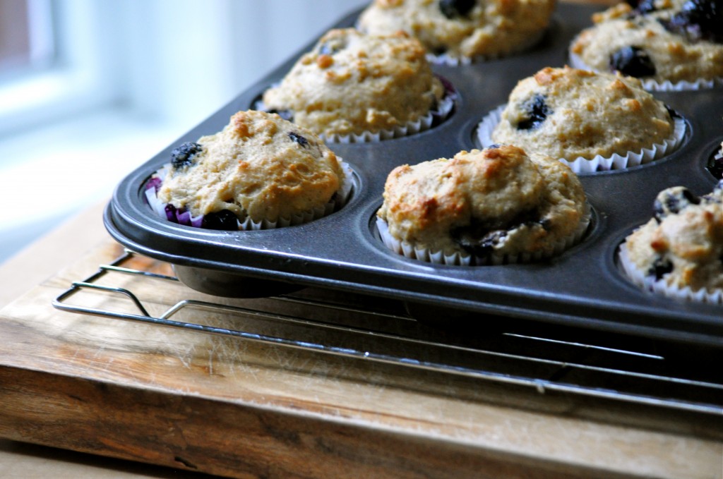 Greek Yogurt Blueberry Muffins | Once Upon a Recipe