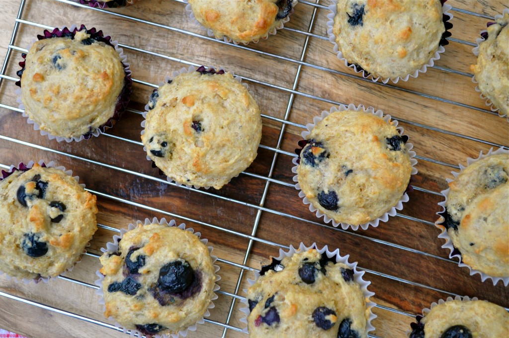 Greek Yogurt Blueberry Muffins | Once Upon a Recipe