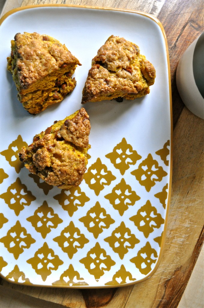 Whole Wheat Pumpkin Cinnamon Chip Scones | Once Upon a Recipe