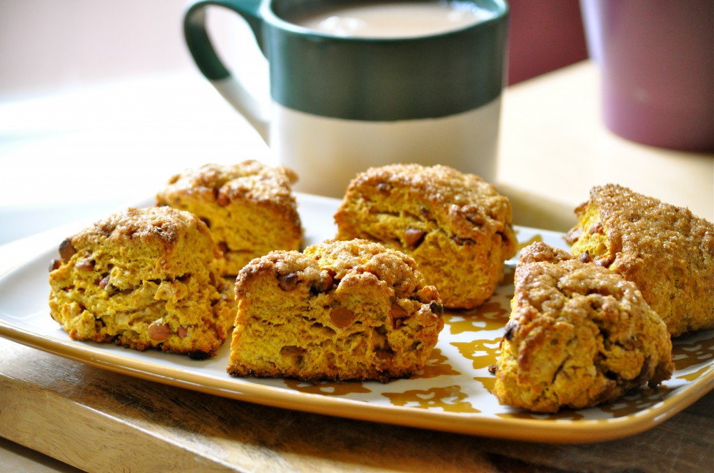 Whole Wheat Pumpkin Cinnamon Chip Scones | Once Upon a Recipe