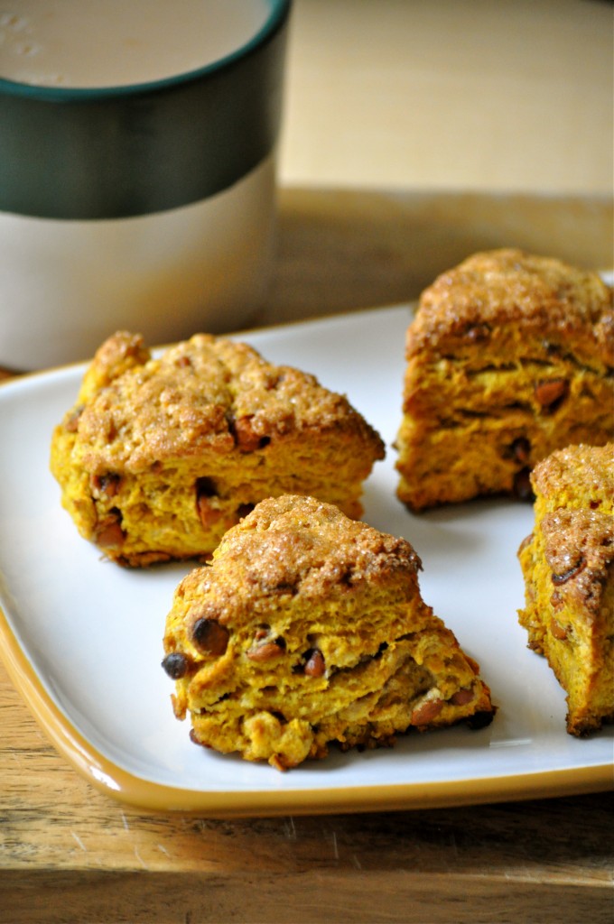 Whole Wheat Pumpkin Cinnamon Chip Scones | Once Upon a Recipe