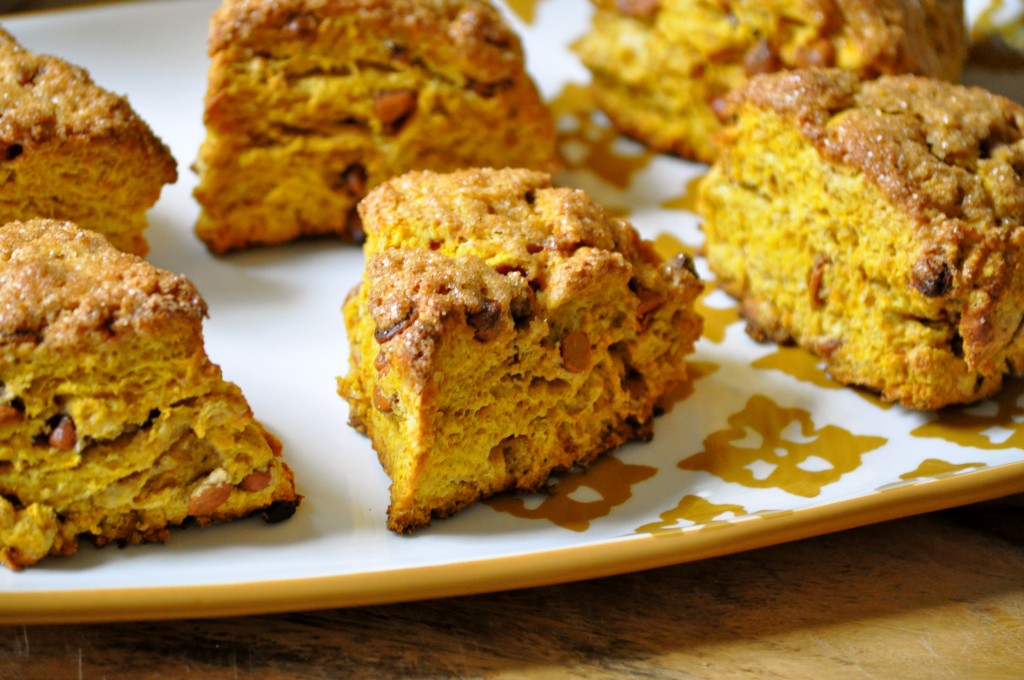 Whole Wheat Pumpkin Cinnamon Chip Scones | Once Upon a Recipe