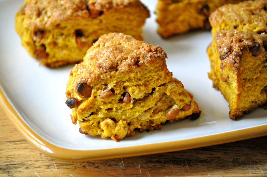 Whole Wheat Pumpkin Cinnamon Chip Scones | Once Upon a Recipe