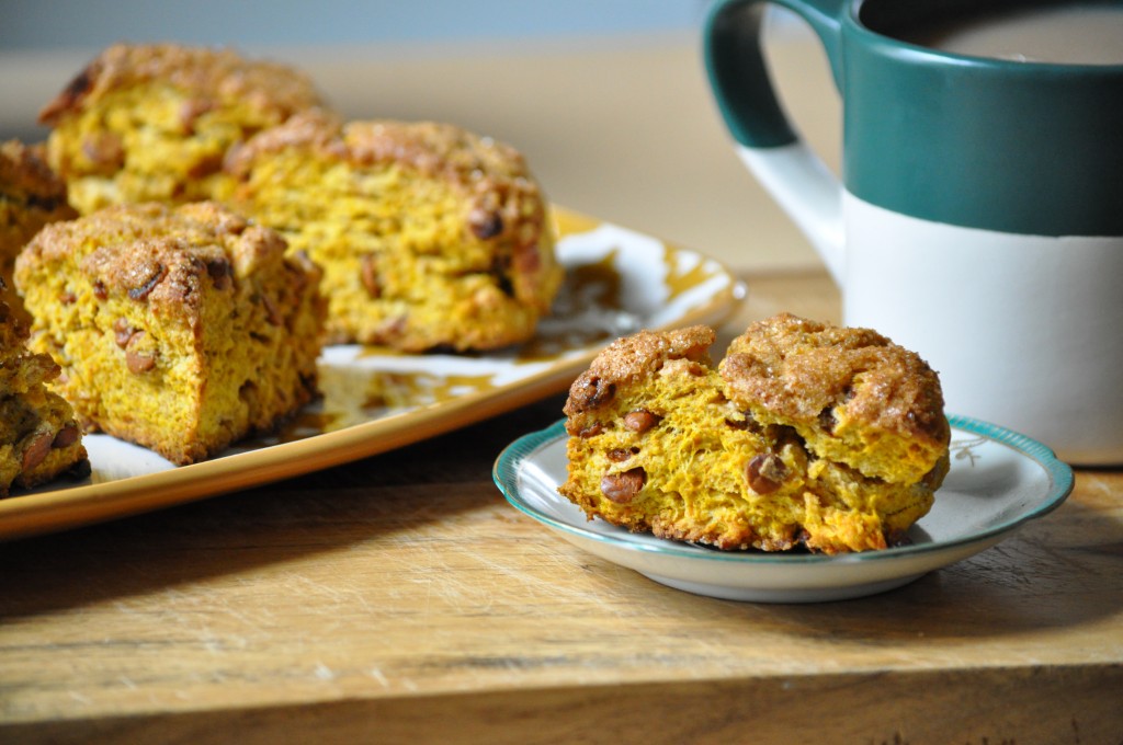 Whole Wheat Pumpkin Cinnamon Chip Scones | Once Upon a Recipe
