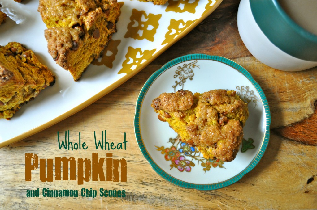 Whole Wheat Pumpkin Cinnamon Chip Scones | Once Upon a Recipe