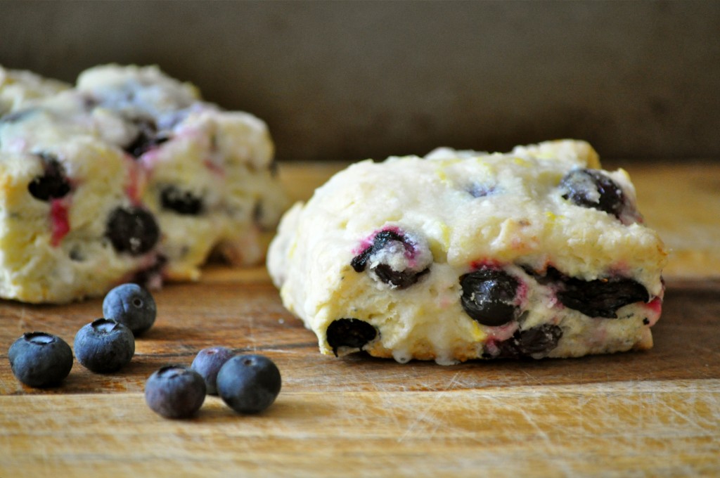 Blueberry Lemon Shortcakes | Once Upon a Recipe