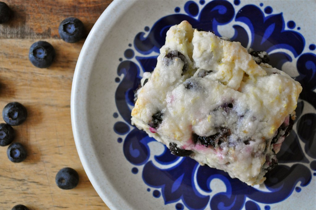 Blueberry Lemon Shortcakes | Once Upon a Recipe