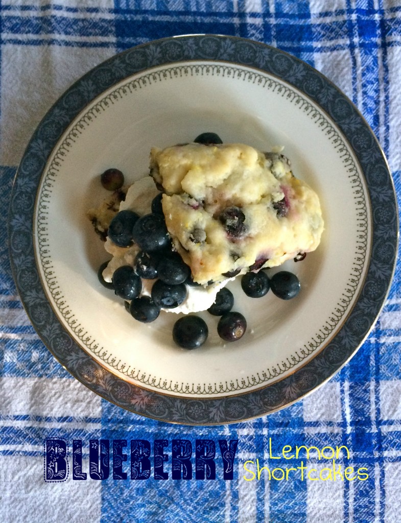 Blueberry Lemon Shortcakes | Once Upon a Recipe