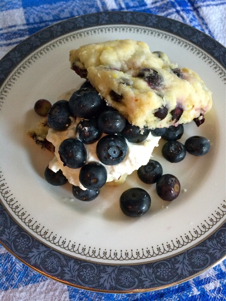 Blueberry Lemon Shortcakes | Once Upon a Recipe