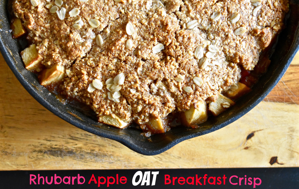 Rhubarb Apple Oat Breakfast Crisp | Once Upon a Recipe