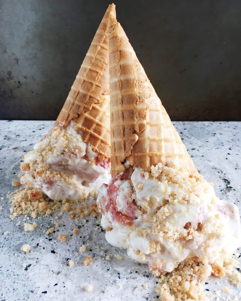 Rhubarb Crumble Ice Cream | Once Upon a Recipe