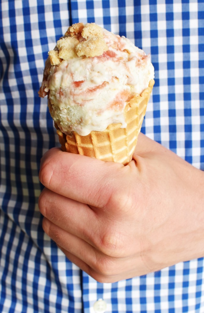 Rhubarb Crumble Ice Cream | Once Upon a Recipe