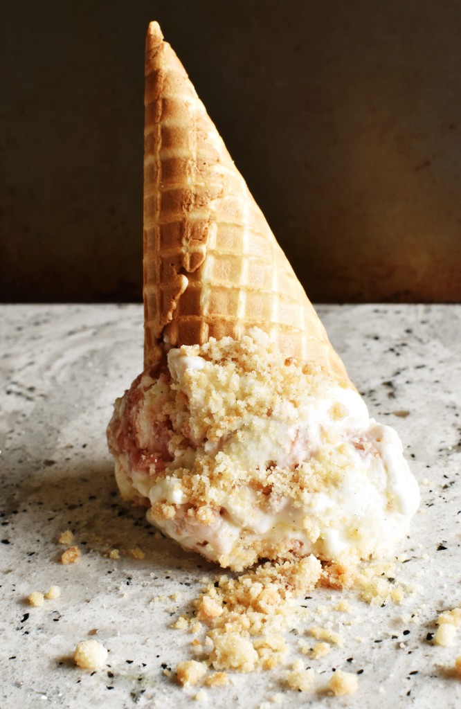 Rhubarb Crumble Ice Cream | Once Upon a Recipe